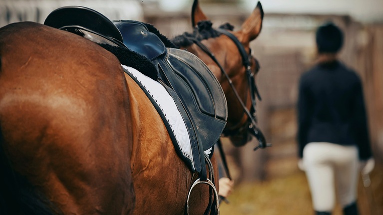 May Horsemanship Camps Announced