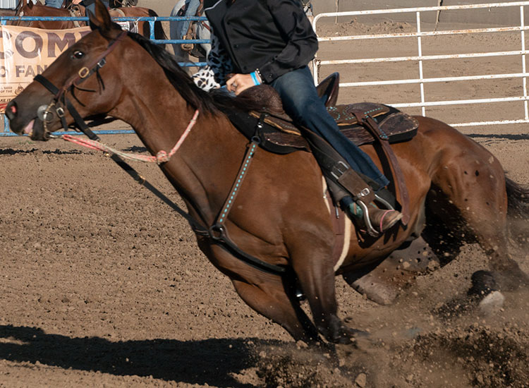 Rodeo Builds on Fall Semester Highlights